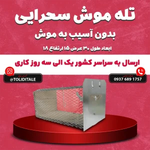 خرید تله موش زنده گیر