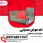 تله موش صحرایی